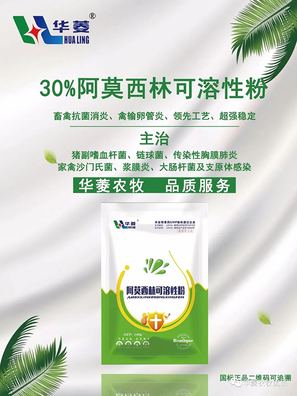 30%阿莫西林可溶性粉