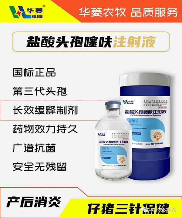 <b>盐酸头孢噻呋注射液（100ml）</b>