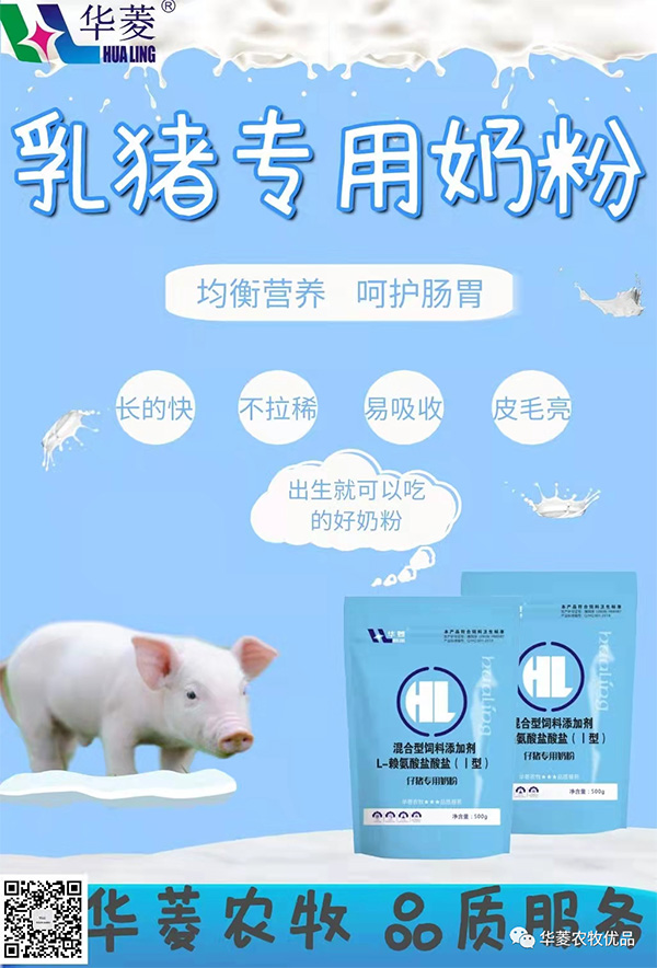 华菱乳猪专用奶粉